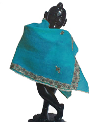 <p>Shawl -Blue Color</p>