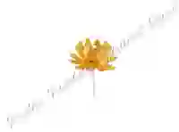 Shree MahaLaxmi Kamal Gold Plated Lotus Flower