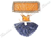 Celestial Sparkles Devi Mata Dress