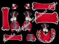 Cranberry Vibes Winter Woolen Ram Darbaar Dress