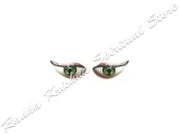 Mystical Sage Kataksha Salagram Shila God Eyes