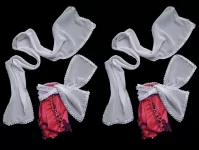 Natkhat Gaur Nitai Daily Wear Dress