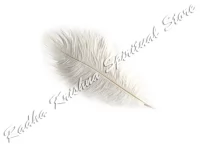 Exclusive Big Natural Real Sikhi Crown Insert