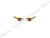 Tangerine Hues Kataksha Salagram Shila God Eyes