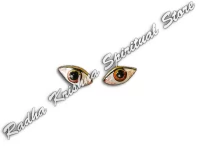 Ugra Narsimha Shaligram Shila God Eyes